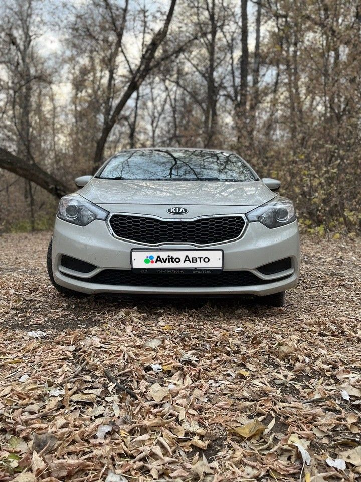 Kia Cerato: фото владельца