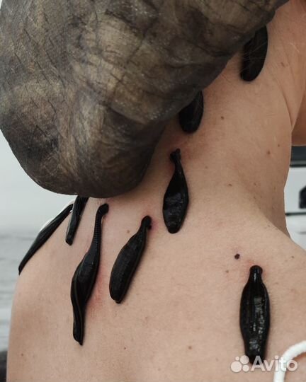 Пиявки, приставка