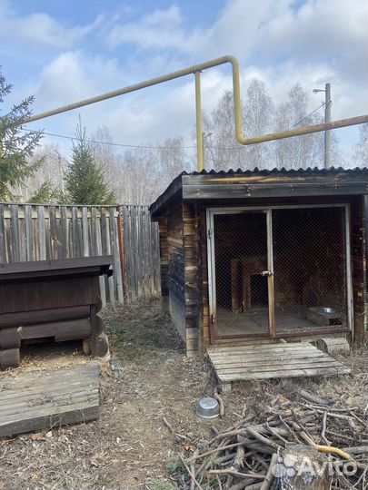 Вольер для собак