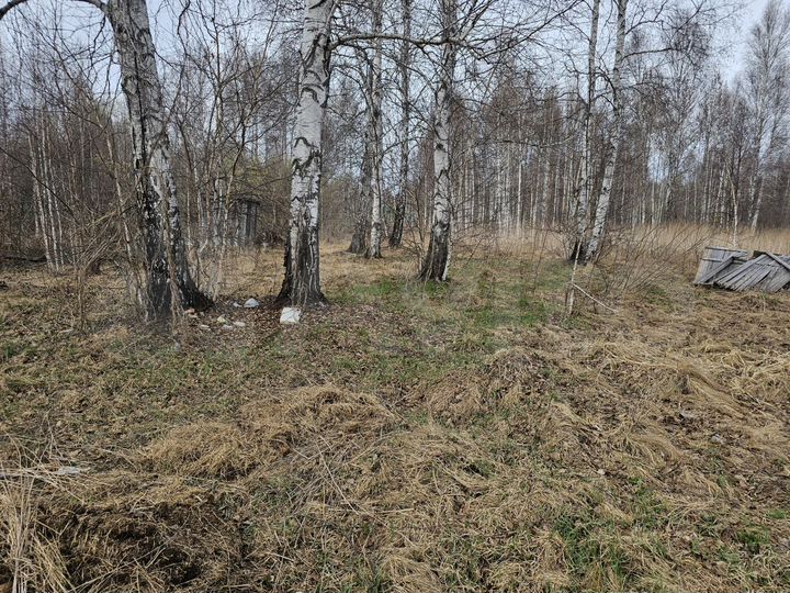 Участок 20 сот. (СНТ, ДНП)