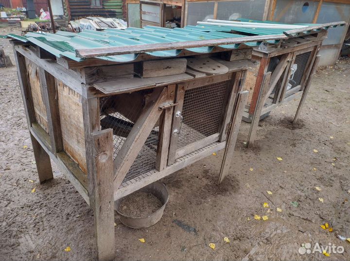 Уличный Крольчатник