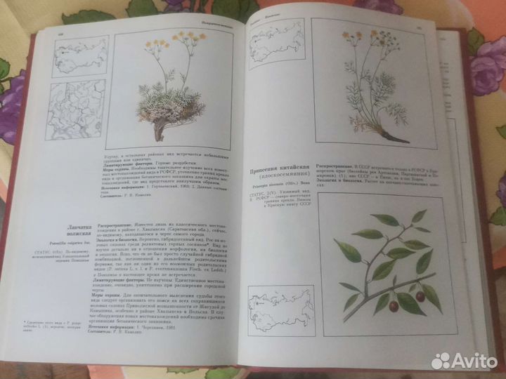 Красная книга РСФСР