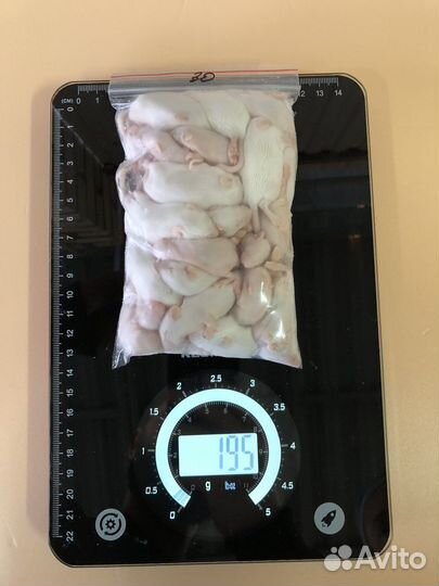 Мыши для кормления змей, варанов, сов (заморозка)