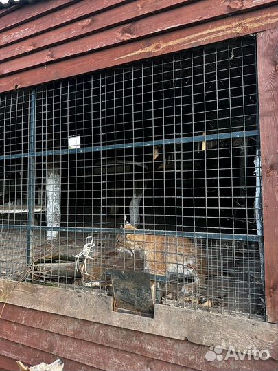 Отдых, рыбалка, баня