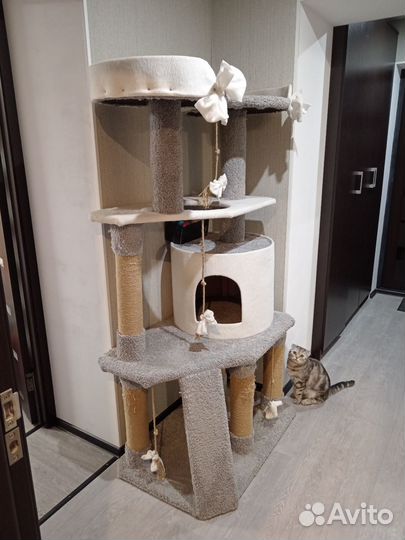 Домик когтеточка для кошки