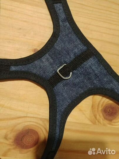 Шлейка, поводок, джинсовка