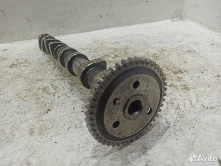 Распредвал выпускной A6110500101
