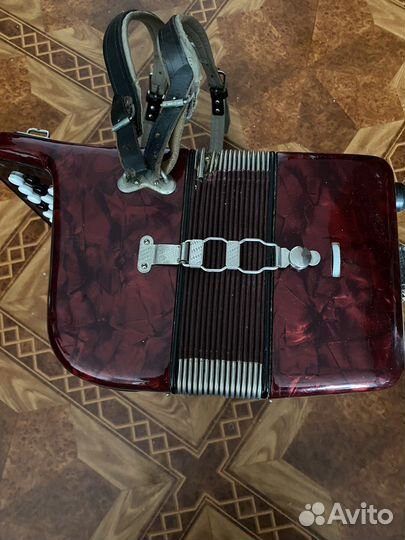 Баян weltmeister