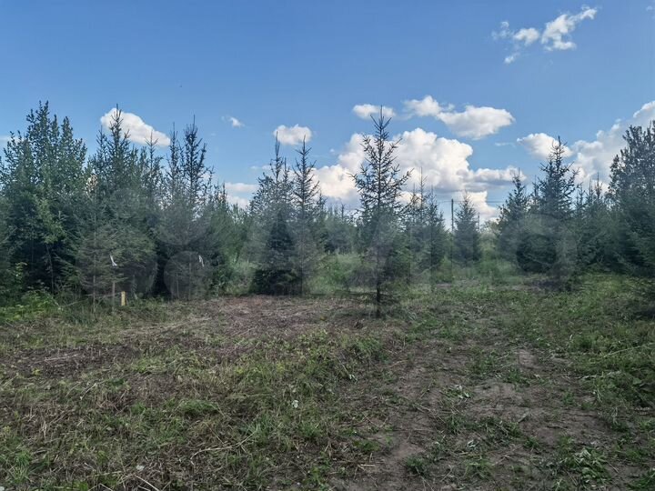 Участок 10 сот. (ИЖС)