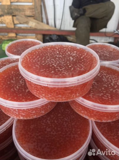 Красная икра 2023 горбуша