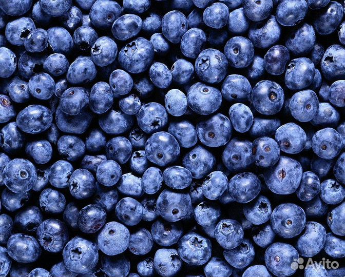 Черника ягода замороженная