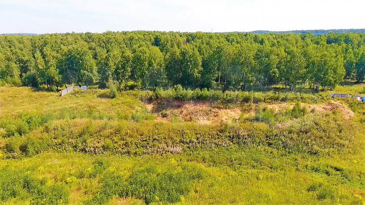 Участок 2,45 га (СНТ, ДНП)