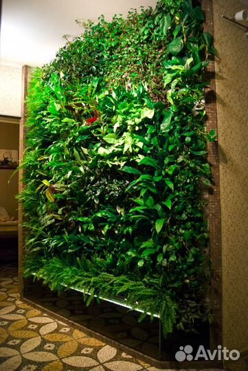 Обслуживание, запуск аквариумов