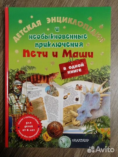 Необыкновенные приключения Пети и Маши