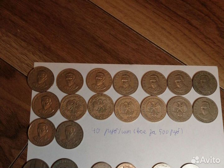 Злоты цена за всё