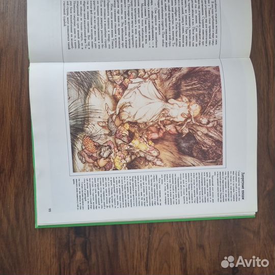 Книга феи и эльфы