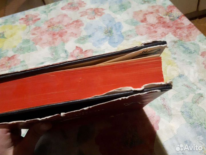 Шота Руставели, витязь в тигровый шкуре