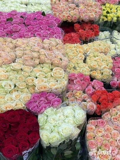 Букеты от 25 роз с доставкой, розы 50-80 см