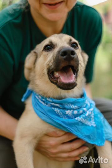 Ищем дом маленькому мальчику