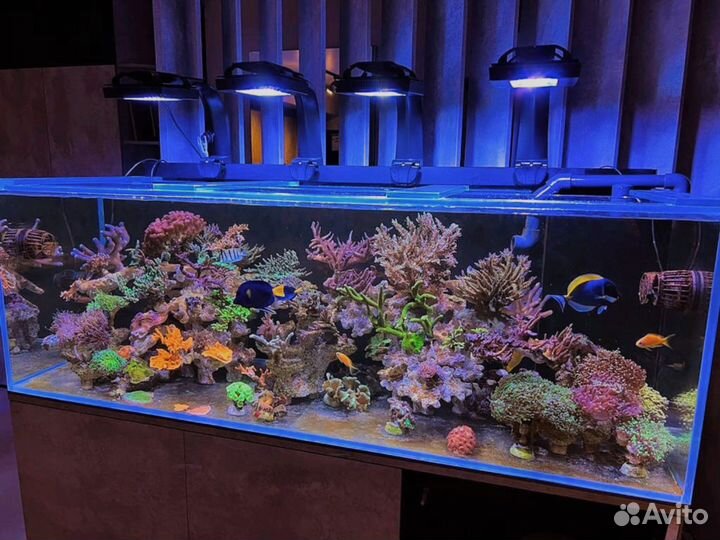 Аквариум на 495литров