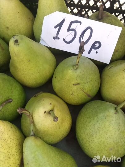 Груша, и яблоки