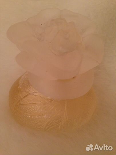 Kenzo, Feraud. France