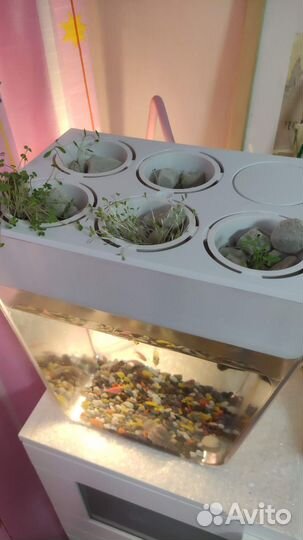 Аквариум / акваферма