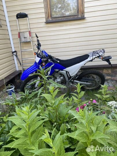Yamaha Wr250r