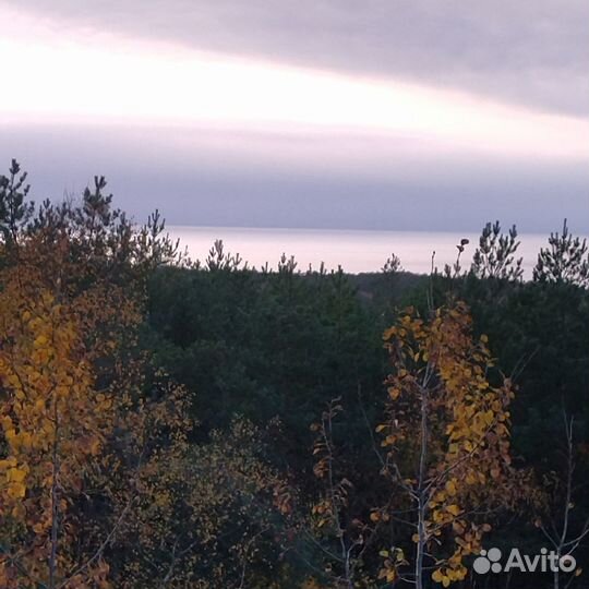 Экскурсии по Калининграду и области