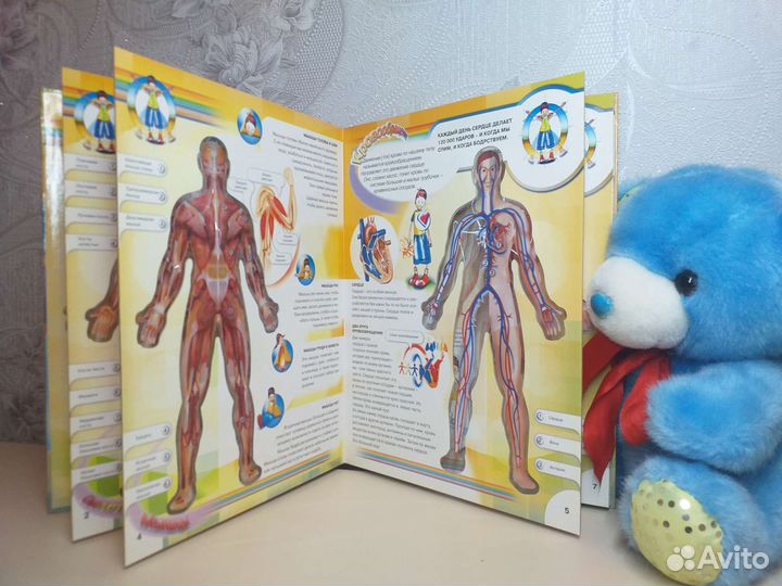 Книги по анатомии человека