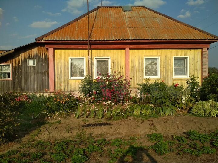 1 я ул лесные поляны