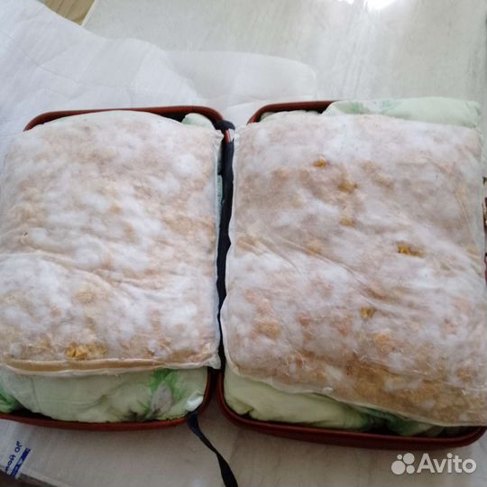 Кожаный чемодан (СССР)