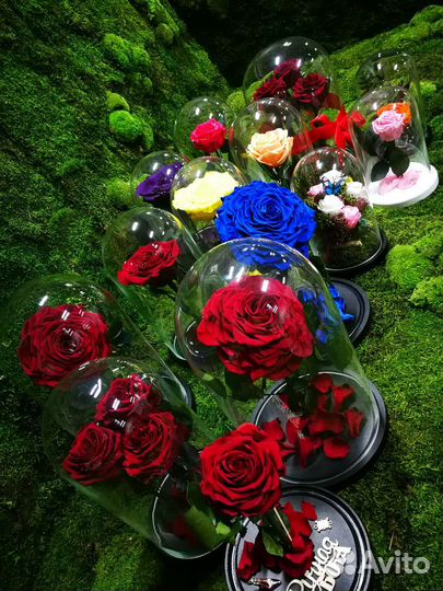 Роза в колбе розница и опт в наличии, от