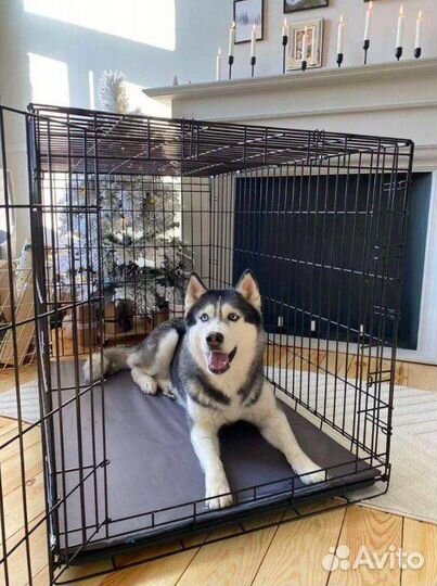 Клетки для собак