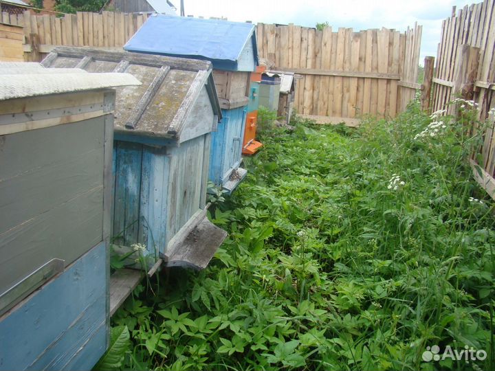 Продаю ульи для пчел