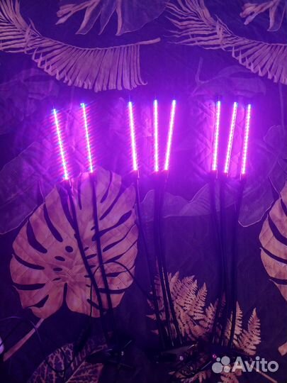 Фитолампа для растений на прищепке