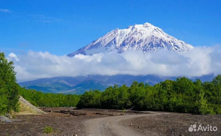 Турне на Kamchatku на 7 нч