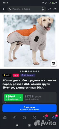 Жилетка для средних собак