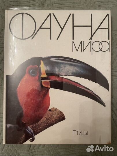 Детские/Учебные Книги