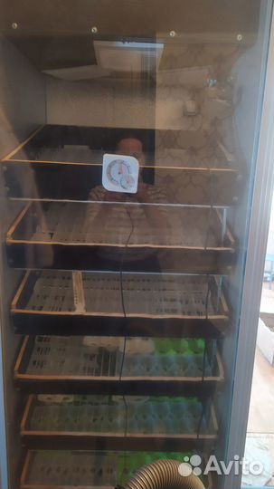 Инкубатор для яиц автоматический