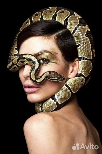 Аренда животных для фотосессии и мероприятий