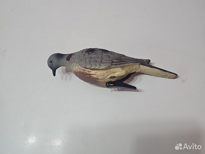 Чучело голубя охота