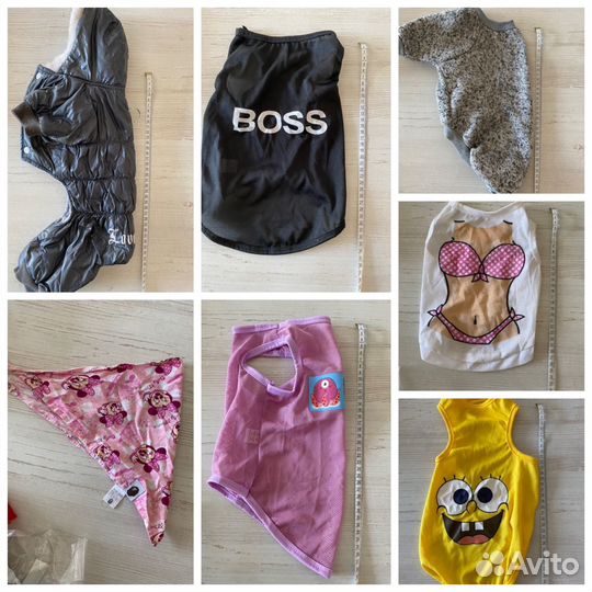 Одежда для собак мелких пород