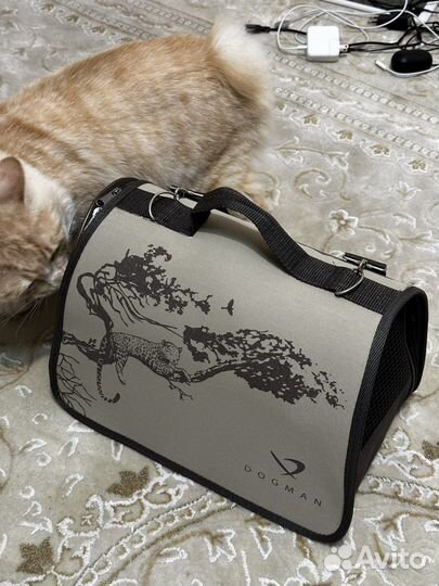 Сумка переноска для кошек бу