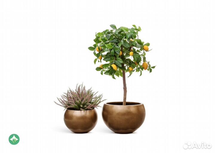 Кашпо Полусфера Золото Матовое