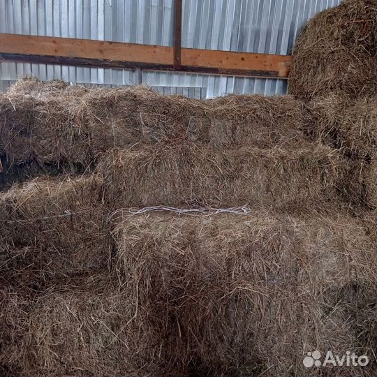 Сенцо для вашего хозяйства