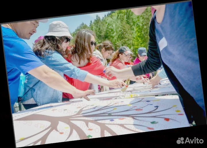 Сборщик электрического и электронного оборудования