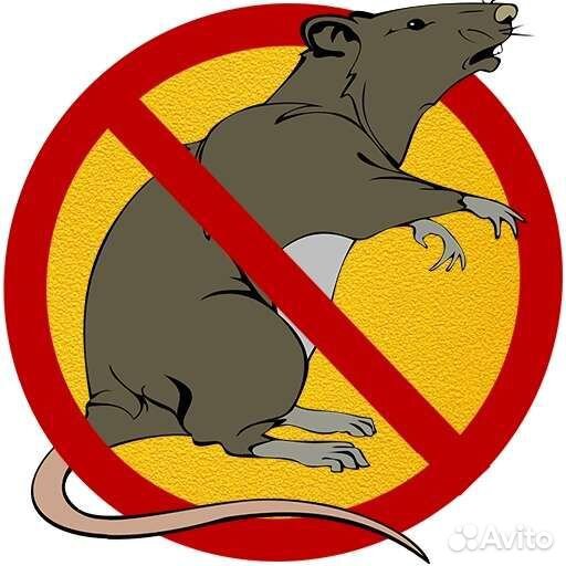 Бактокумарин