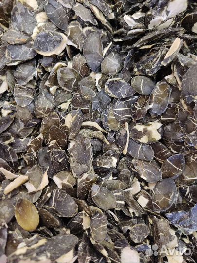 Жмых семян подсолнечника, льна, конопли и др