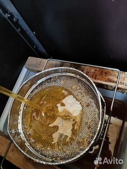 Мед, донник